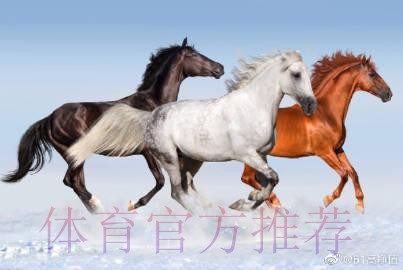 馬體會對賽硬淨值捧